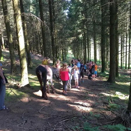 Lyxtält Camping Spineuse *